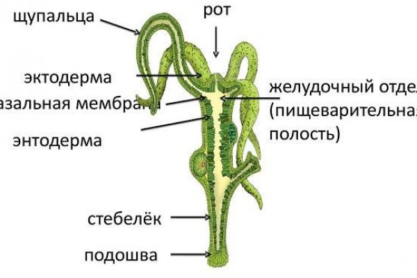 Кракен даркнет регистрация