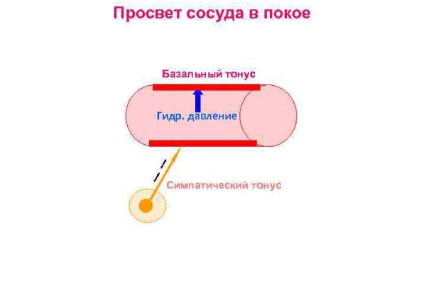 Ссылка кракен kraken torion net